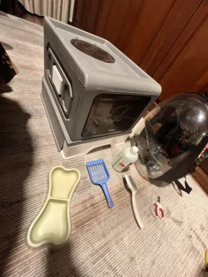 جميع مستلزمات القطط