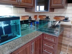 4 احواض سمك الكبير متر عرض غير مستعمل الموقع اربد الحصن نضاف خالي كسور