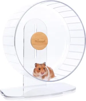 Hamster wheel and water bottle