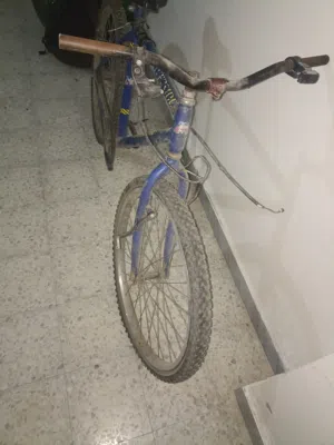 دراجة هوائية