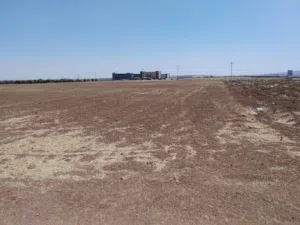 Farm Land for Sale in Irbid Al Sareeh