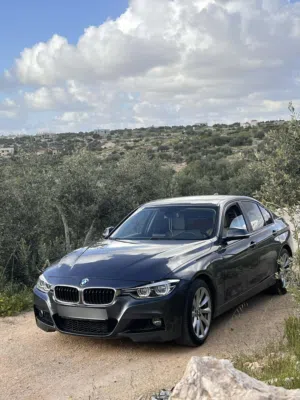 Bmw318i2016