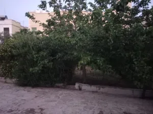 250 m2 4 Bedrooms Townhouse for Sale in Jerash Salhoub