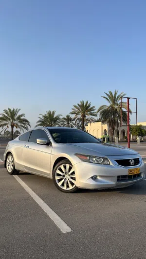Used Honda Accord in Muscat