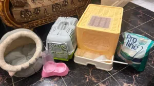 مستلزمات قطط كاملة للبيع بحالة ممتازة