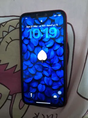 ايفون 11 - iphone 11