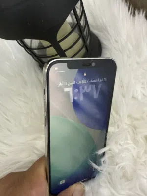 iPhone 12 pro 256g
