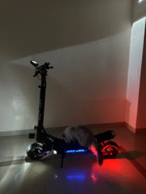 Scooter for sale
