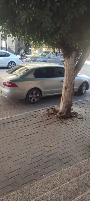 سكودا . سوبيرب . 2013 . مستعمل1