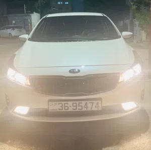 عبد الله درويش الشافعي 