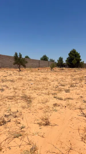 قطعة ارض للبيع