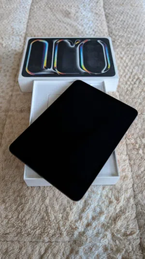 Apple iPad Pro 256 GB in Ramtha