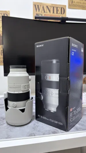 Sony 200-70 GM OSS