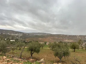 Farm Land for Sale in Zarqa Al-Alouk