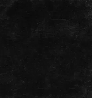 فياض خويلد الهنائي 