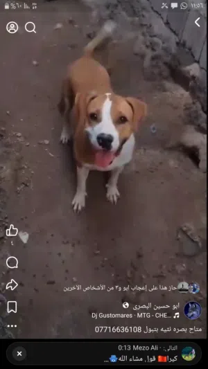 نثيه بتبول منتجه