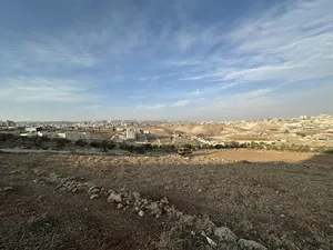 Mixed Use . 600 m2 . Landlord2