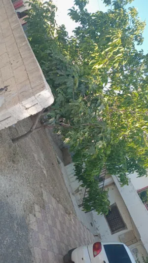بيت للبيع مكون من طابقين