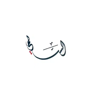 Mohamed Alsalmi 