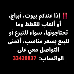 مطلوب بيوت، أبراج، أو ألعاب للقطط وما تحتاجونها، سواء للتبرع أو للبيع بسعر مناسب