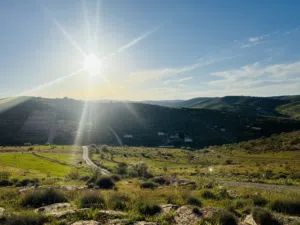 Farm Land for Sale in Zarqa Birayn