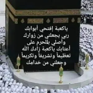 ام يحيى 