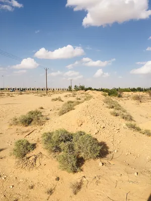 قطعة ارض زراعية 
بطول 350 متر وبعرض 73 
علي طريق الرئيسي طرابلس نالوت