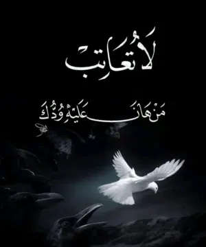 أبوبكر محي الدين عبدالله محمد 
