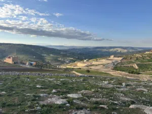 Farm Land for Sale in Zarqa Sarout