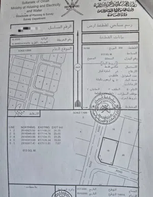 كورنر ع شارعين  حله النصر