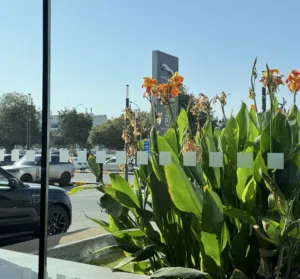 sky motors 