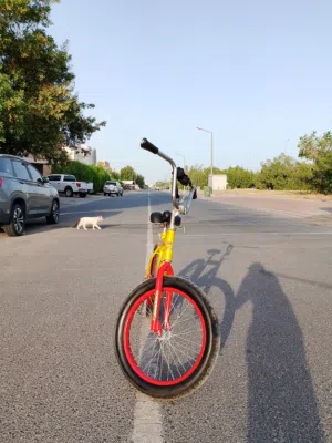 سيكل bmx نضيف ما شاء الله تبارك الله ابي في 30 مقابل المساومه جديد ,حجم22 تقريبا