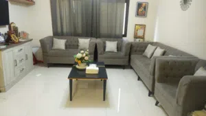 Furnitures and Home appliances