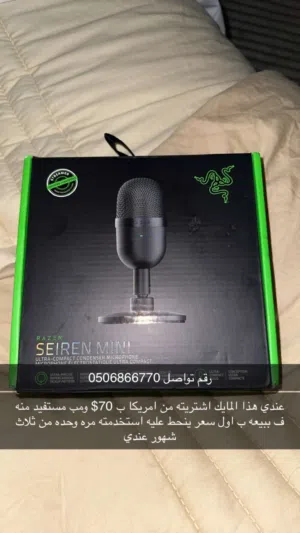 مايك ميني rizer
