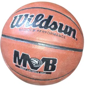 كرة سلة ويلدسون