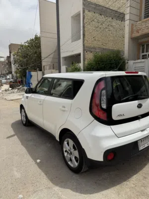 صول وراد امريكي 1600
