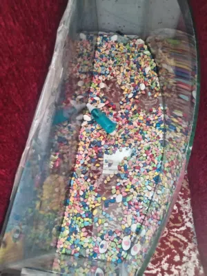 حوض سمك مميز للبيع بسعر مميز المراجعه ابو محمد