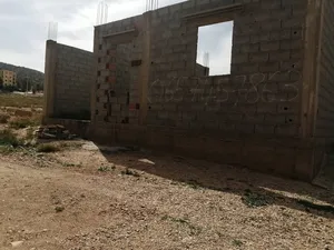 تبسة  الحمامات ذراع الحمام