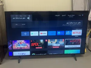 للبيع تلفزيون باناسونيك 55 بوصة سمارت مع رسيفر داخلي شبه جديد حتى الستيكر في الجوانب موجود