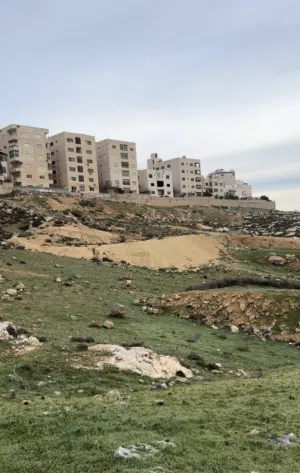 Residential Land for Sale in Amman Jubaiha