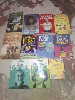 DIVERSE COLLECTION OF ENGLISH BOOKS DIFFERENT GENRES OF BOOKS (READING LEVEL 9-18)