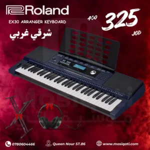 اورغ شرقي غربي رولاند EX-3- مع ستاند