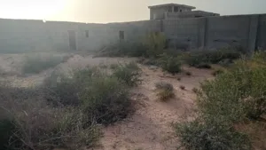 أرض  في  السواني