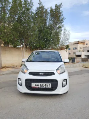 بيكانتو مورينج 2016