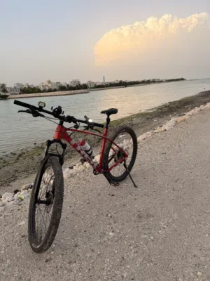 Trek Pro calibar 6