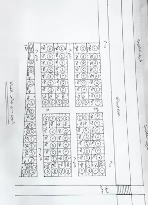 افراز جديد لقطع اراضي في شط العرب التنومة مساحات تبداء من 100 متر