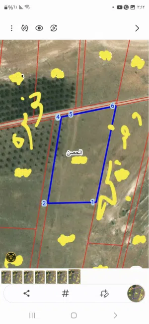 Farm Land for Sale in Irbid Al Husn