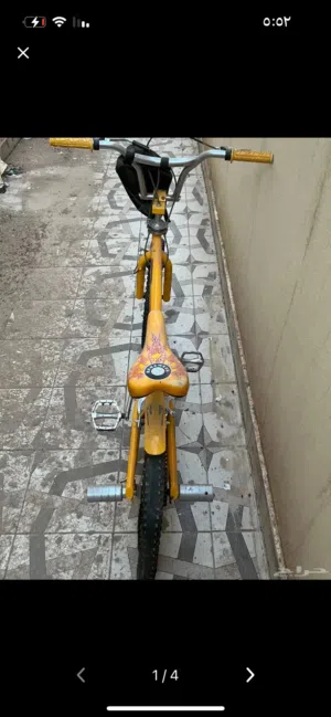 سيكل كوبرا مقاس 20 الكفر الخلف انفقع والكفر الأمامي كويس