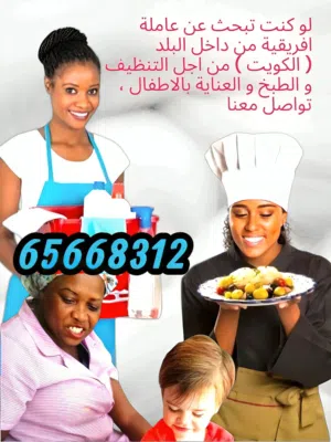 Professional Housemaid