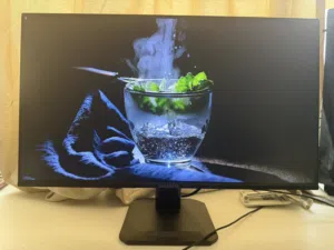 Gigabyte GS25F2A 24” 240Hz Gaming Monitor